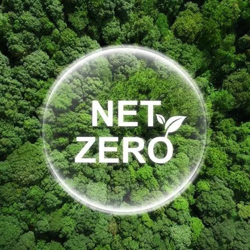 Net Zero & Sustainability